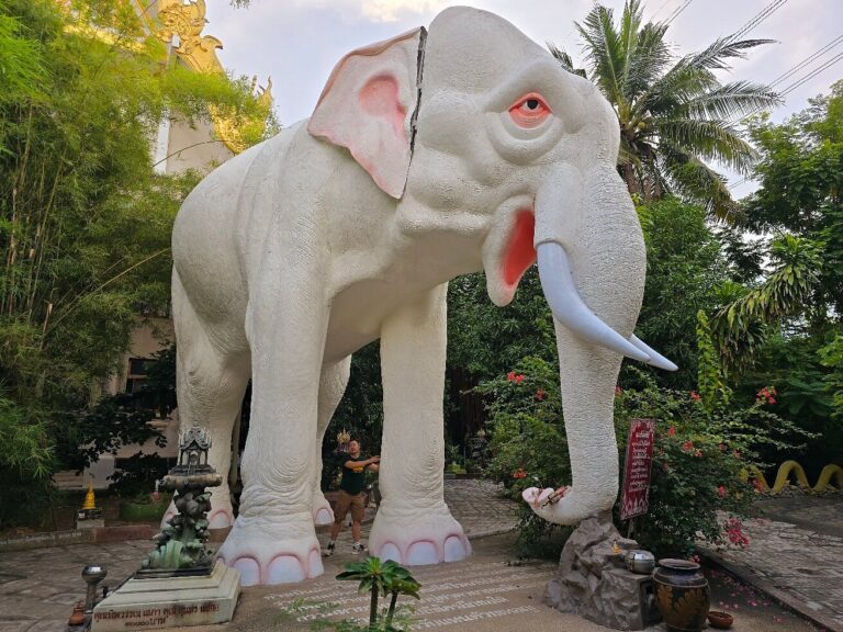 watelephant 768x576